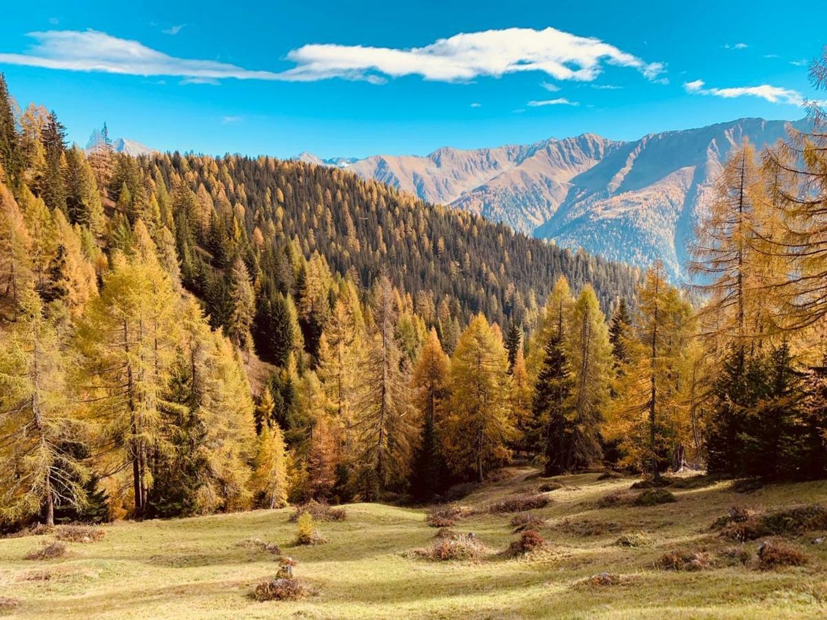 Tgesa Ferrera Villa Schmitten  Dış mekan fotoğraf